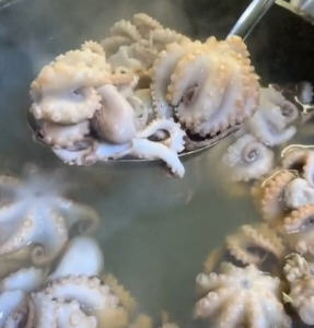 麻辣八爪鱼的做法步骤 麻辣八爪鱼怎么做好吃