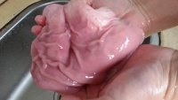 花生白果猪肚汤的家常做法(猪肚煲白果有什么功效)