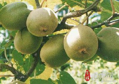 怀孕初期不能吃什么呢