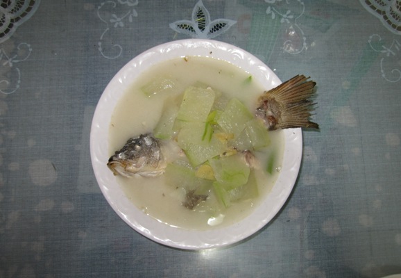 冬瓜炖鲤鱼