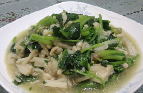 金针菇烧菠菜的做法(金针菇与菠菜的做法)