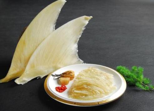 鱼翅的功效与作用——来自大海的美味