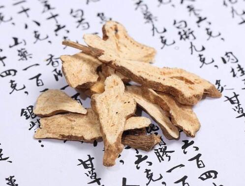 白术的功效与作用——健脾益气好帮手