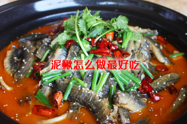 具有进补和食疗功效的泥鳅怎么做好吃
