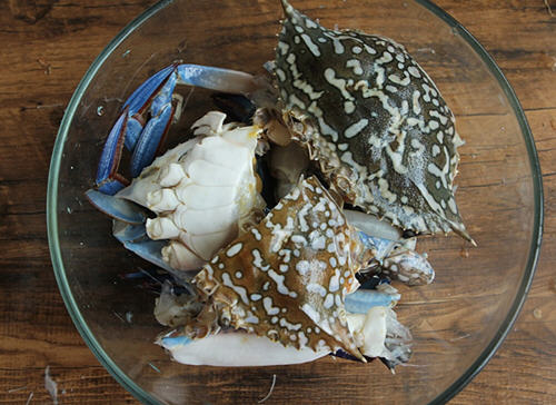 家常螃蟹粉丝煲，蟹肉鲜美，粉丝Q软