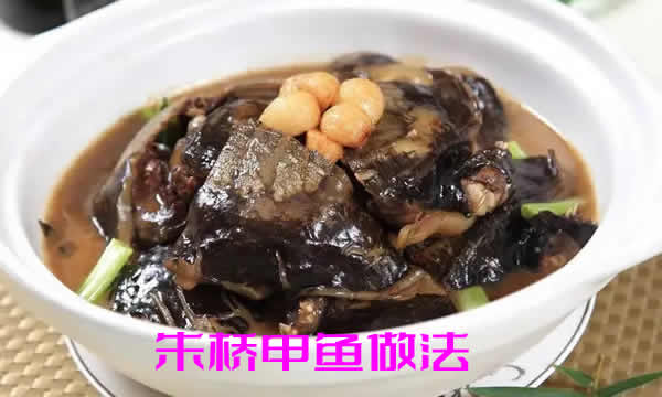 【朱桥甲鱼做法】味鲜爽口、香气四溢、肉质鲜嫩的朱桥甲鱼怎么做