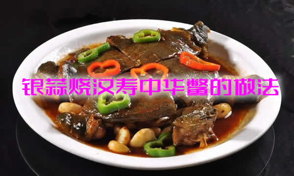 肉质鲜嫩、肥美Q弹，营养价值丰富的银蒜烧汉寿中华鳖