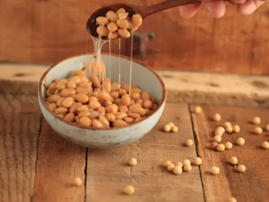 家常纳豆制作教程，简单易学，美味健康一步到位