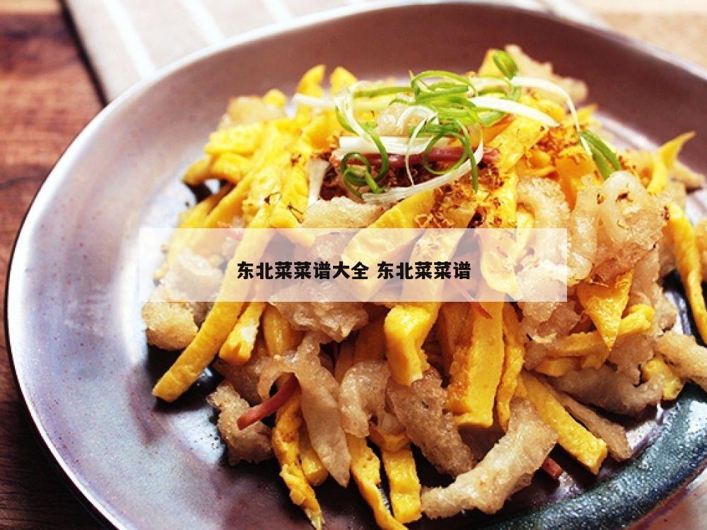 东北菜菜谱大全 东北菜菜谱