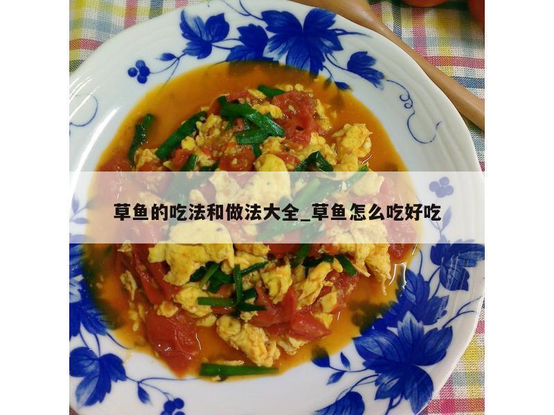 草鱼的吃法和做法大全_草鱼怎么吃好吃