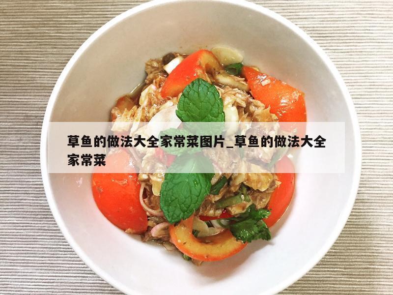 草鱼的做法大全家常菜图片_草鱼的做法大全家常菜