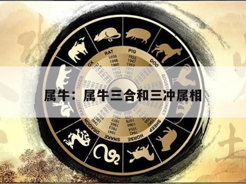 属牛：属牛三合和三冲属相