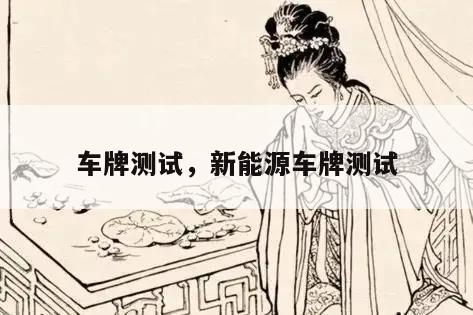 车牌测试，新能源车牌测试
