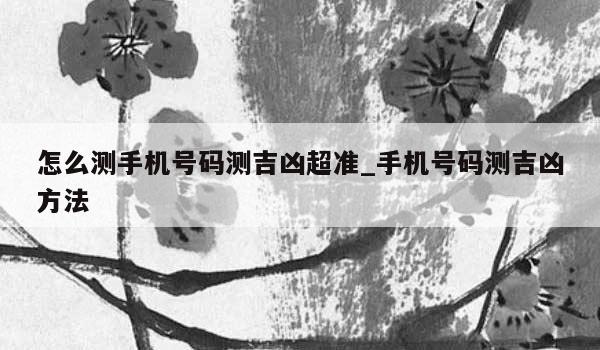 怎么测手机号码测吉凶超准_手机号码测吉凶方法