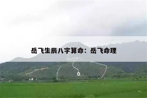岳飞生辰八字算命：岳飞命理