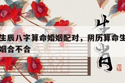 阴历生辰八字算命婚姻配对，阴历算命生辰八字婚姻合不合