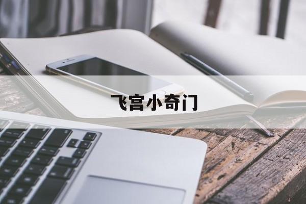  飞宫小奇门（飞宫小奇门案例）